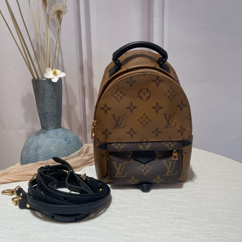 Louis vuitton palm springs - palm,